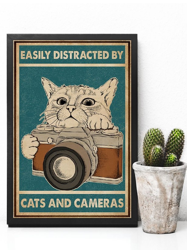 Easily distracted by cats and cameras poster 3 Easily distracted by cats and cameras poster