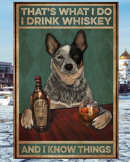 Cattle Dog that's what I do I drink Whiskey and I forget things poster 3 Cattle Dog that's what I do I drink Whiskey and I forget things poster
