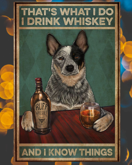 Cattle Dog that's what I do I drink Whiskey and I forget things poster 4 Cattle Dog that's what I do I drink Whiskey and I forget things poster