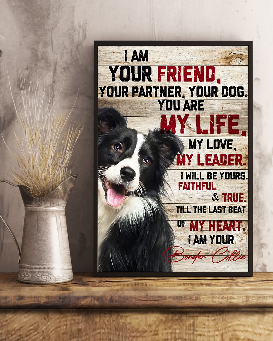 Border Collie I am your friend your partner your dog poster 2 Border Collie I am your friend your partner your dog poster