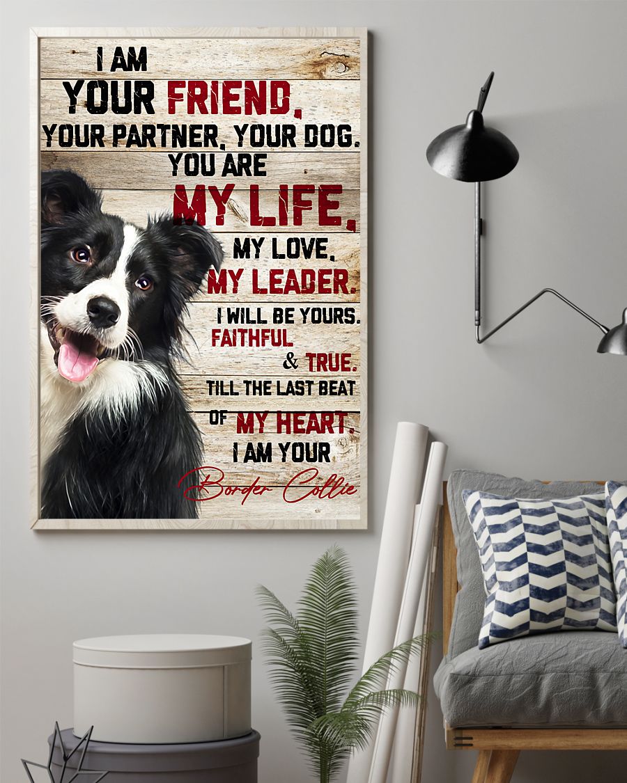 Border Collie I am your friend your partner your dog poster 4 Border Collie I am your friend your partner your dog poster