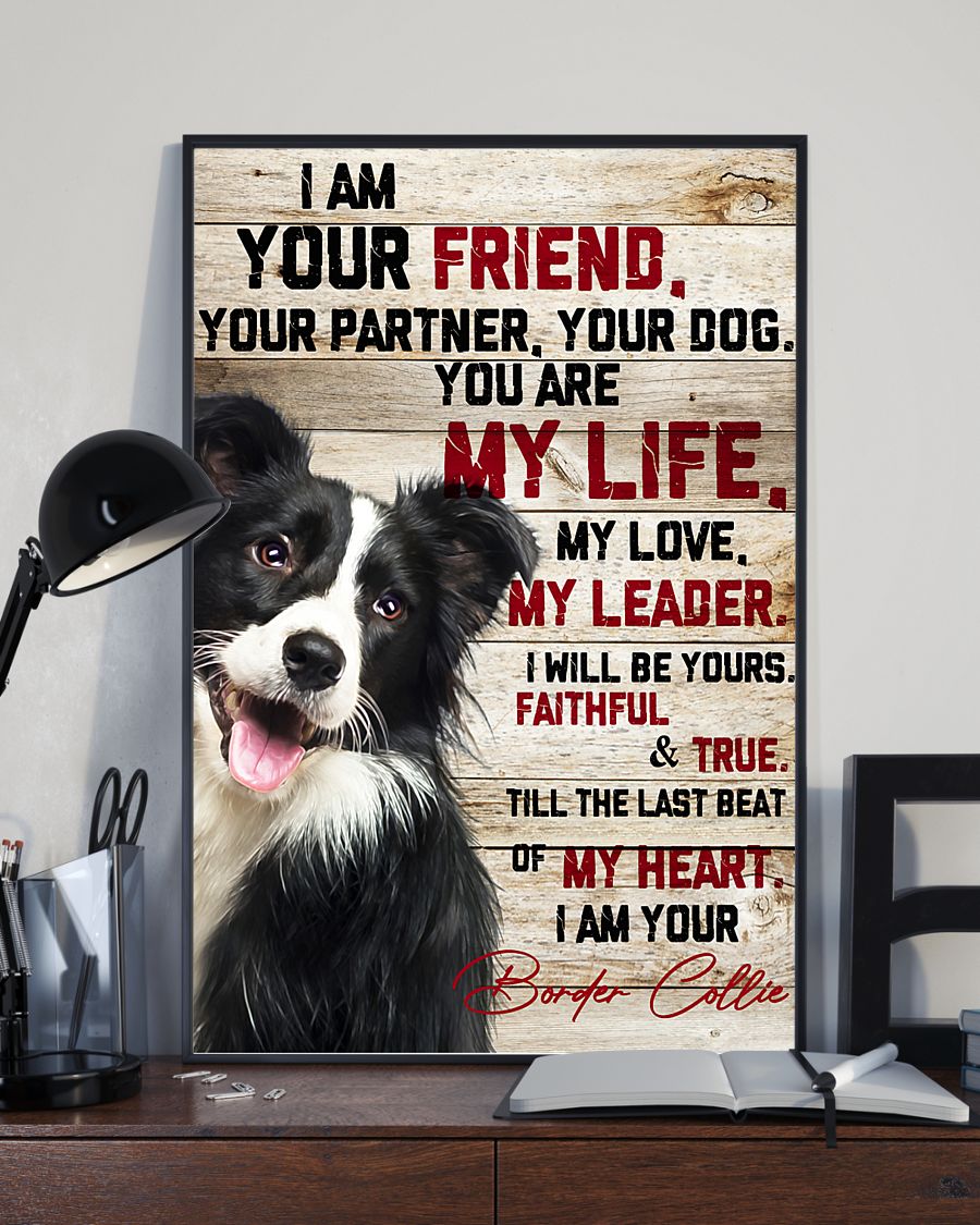 Border Collie I am your friend your partner your dog poster 3 Border Collie I am your friend your partner your dog poster