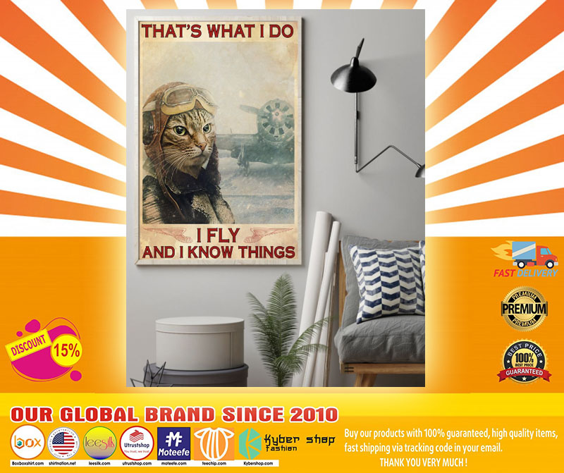 Cat That's what I do I fly and know things poster 2 Cat Thats what I do I fly and know things poster