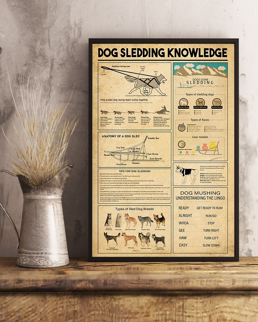 Dog sledding knowledge poster 2 Dog sledding knowledge poster