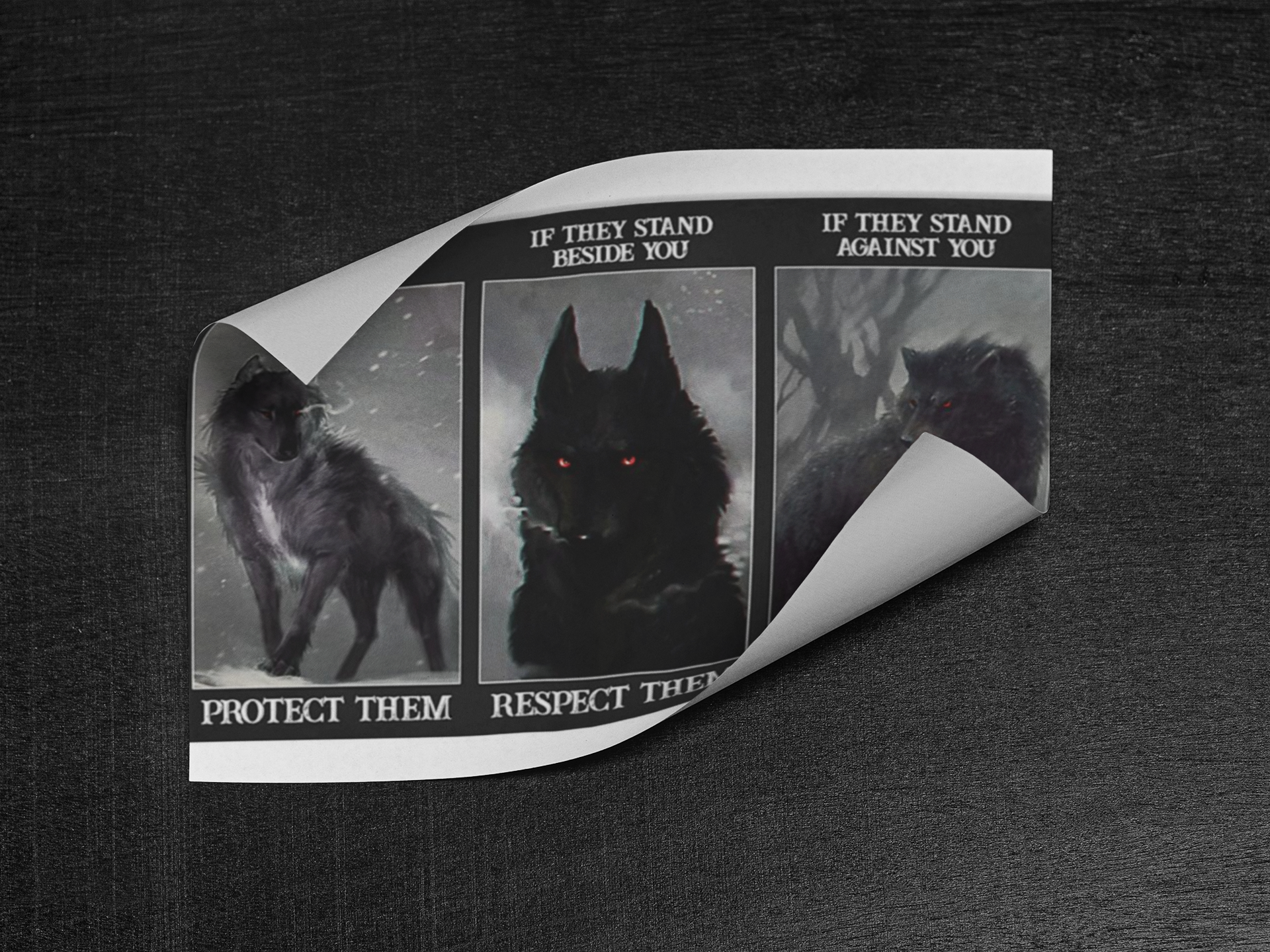 Black Wolf if they stand behind you protect them poster 3 Black Wolf if they stand behind you protect them poster