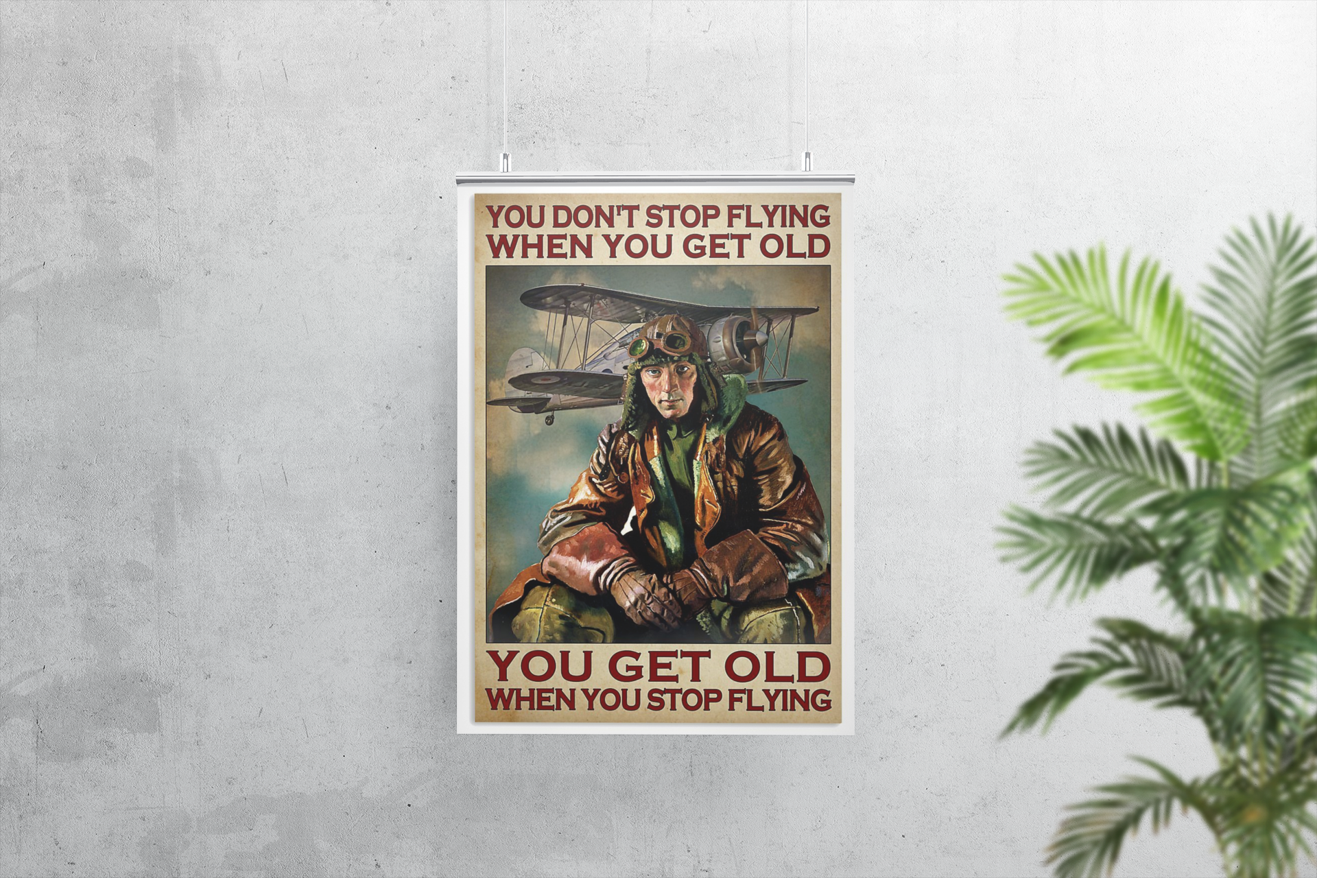 You get old when you stop flying You don't stop flying when you get old poster 4 You get old when you stop flying You dont stop flying when you get old poster