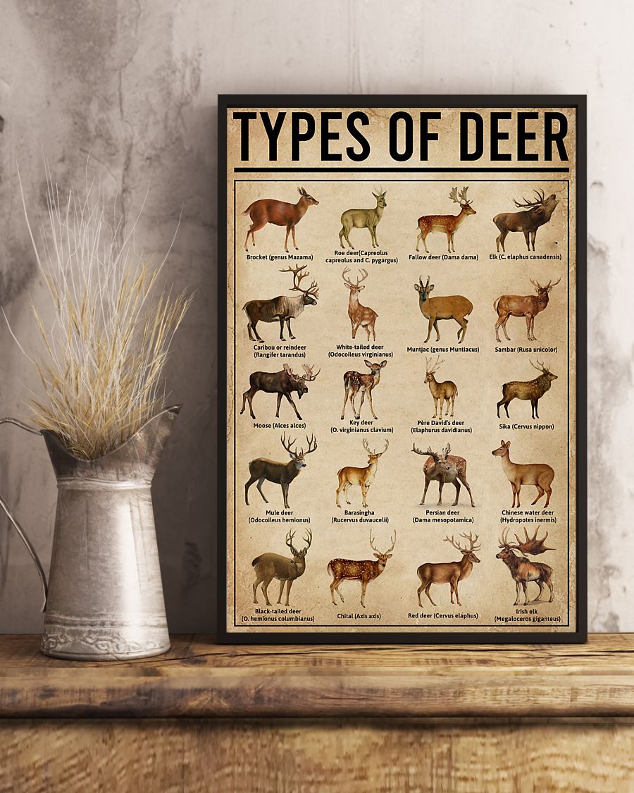 Types Of Deer Poster 5 Guitar Assuming i’m just an old man poster