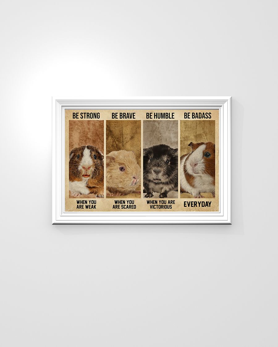 Guinea Pig Be strong When You Are Weak poster 3 Guitar Assuming i’m just an old man poster