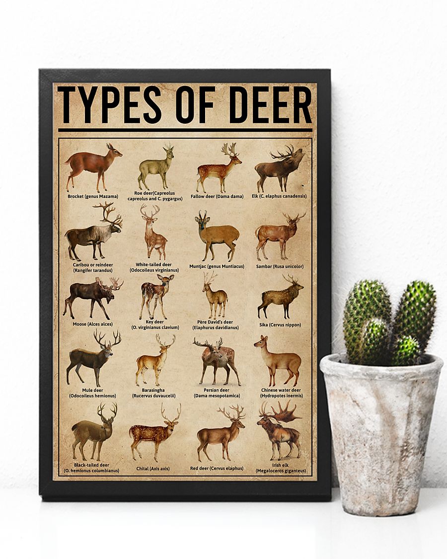 Types Of Deer Poster 4 Guitar Assuming i’m just an old man poster