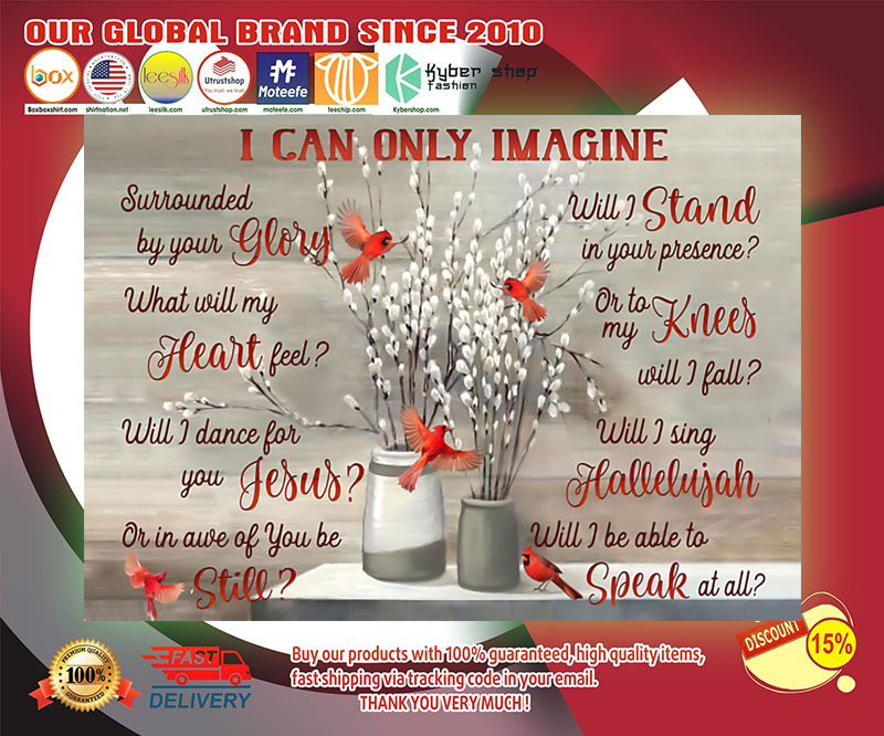 Cardinal I can only imagine poster 2 Cardinal I can only imagine poster