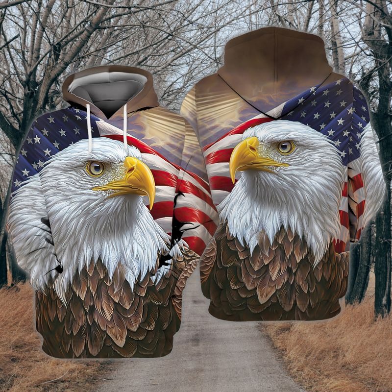 Eagle and flag american 3D hoodie