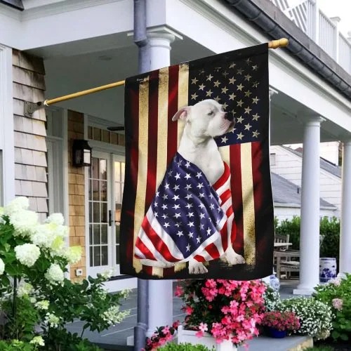 American bullgod patriot flag