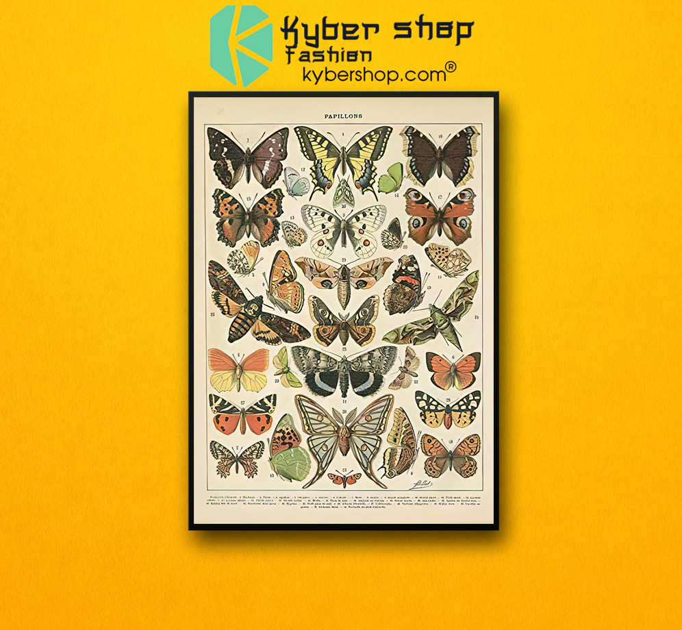 Popular vintage french types of papillons butterflies poster 2