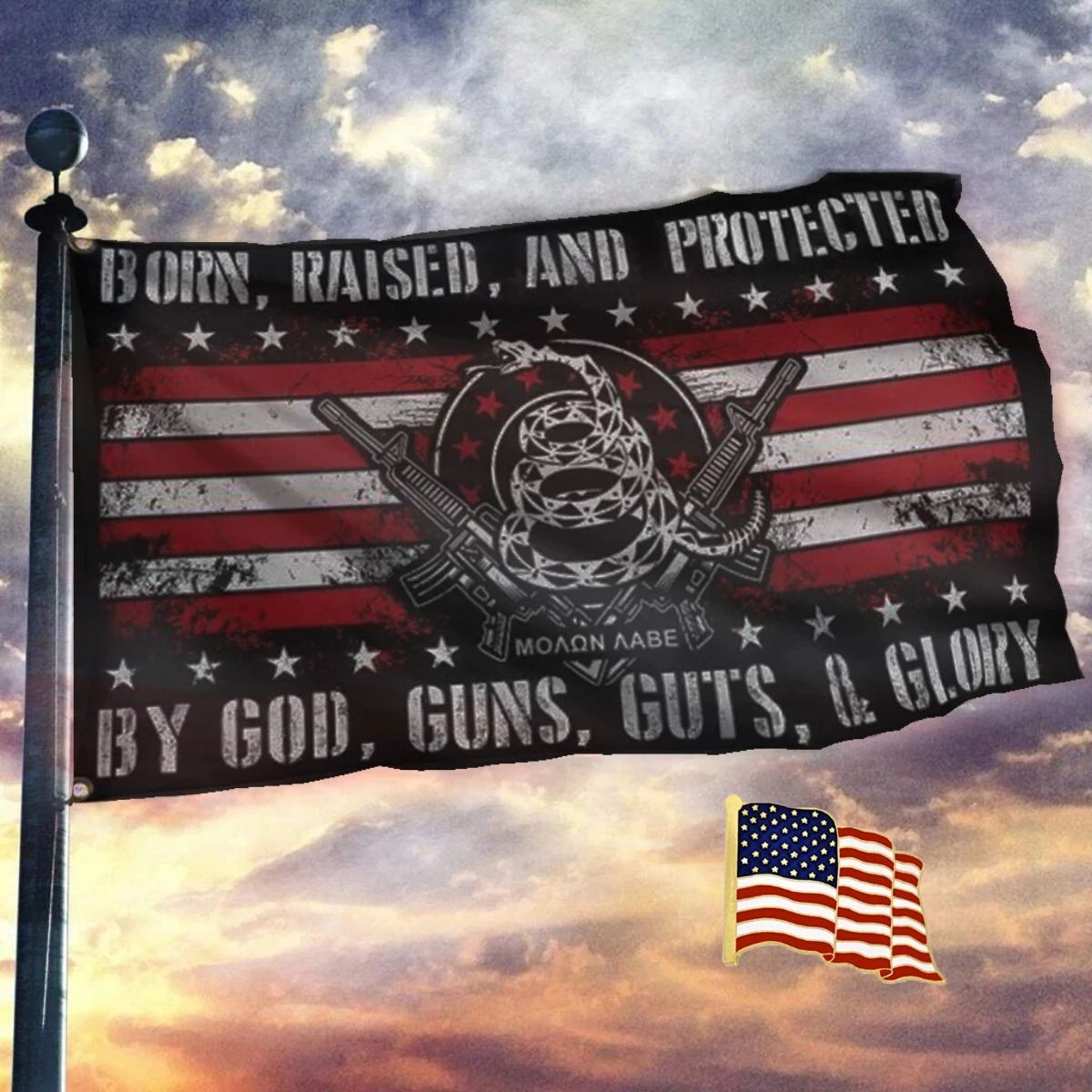 Born raised and protected by god guns guts and glory flag