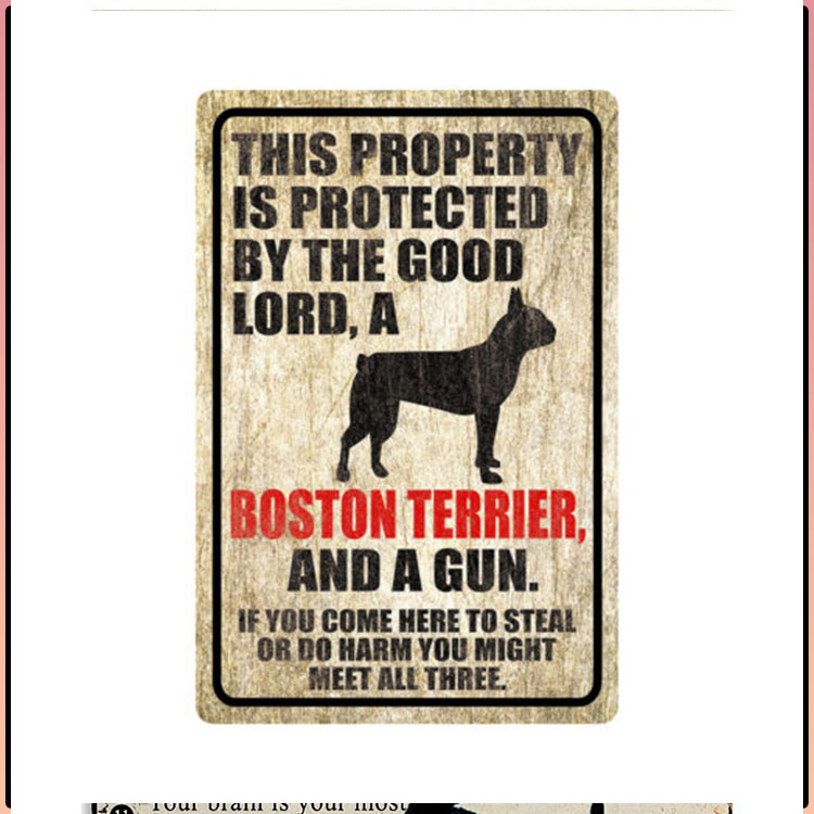 Dog This Property Is Protected By The Good Lord A Boston Terrier And A Gun 5 Dog This Property Is Protected By The Good Lord A Boston Terrier And A Gun 66