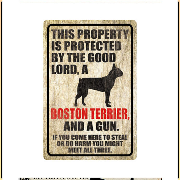 Dog This Property Is Protected By The Good Lord A Boston Terrier And A Gun 1
