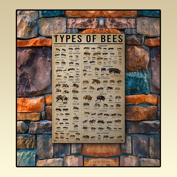 Types of bees metal sign 4 Types-of-bees-metal-sign3