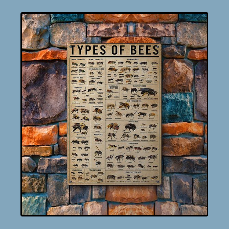Types of bees metal sign 3 Types-of-bees-metal-sign4