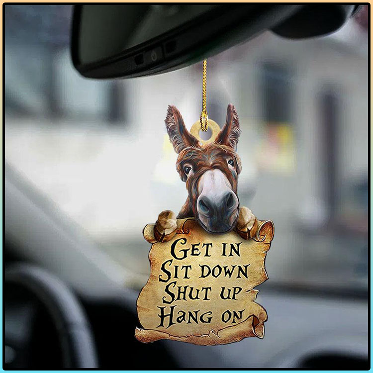 Donkey Get In Sit Down Shut Up Hang On Ornament 1 Donkey Get In Sit Down Shut Up Hang On Ornament