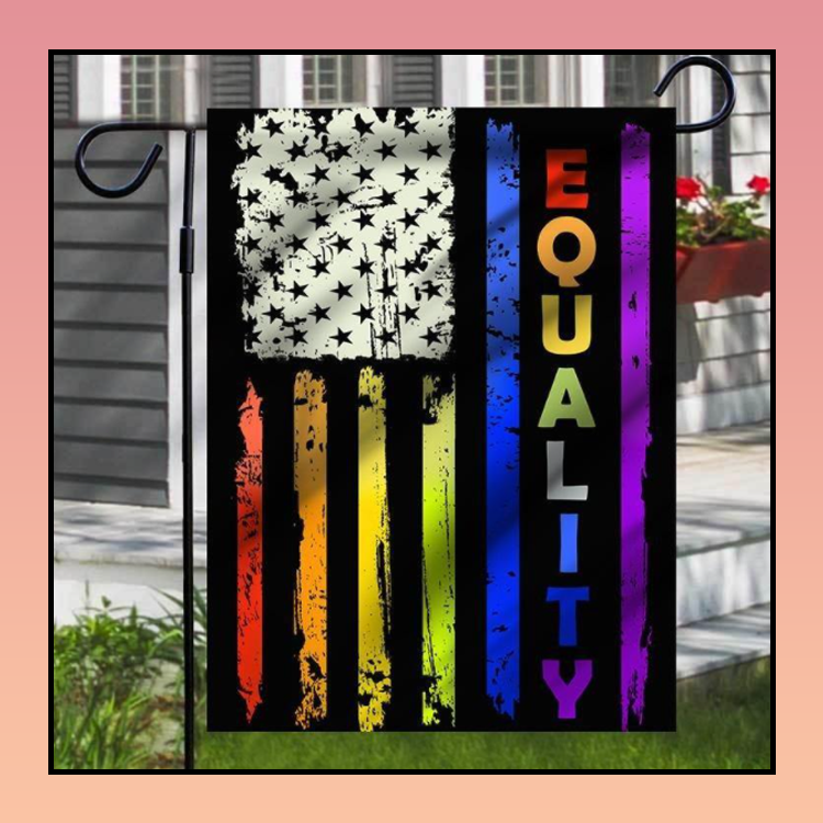 American Flag Equality Flag 4 9 American Flag Equality Flag 3
