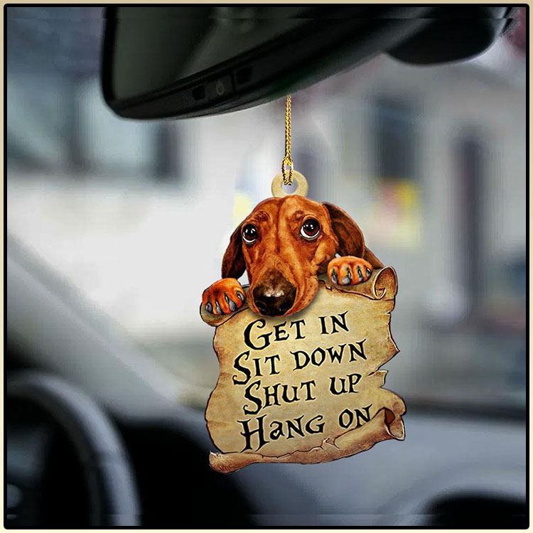 Dachshund get in sit down shut up hang on ornament 5 Dachshund get in sit down shut up hang on ornament3