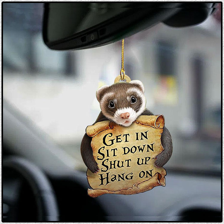 Ferret get in sit down shut up hang on ornament 3 Ferret get in sit down shut up hang on ornament1