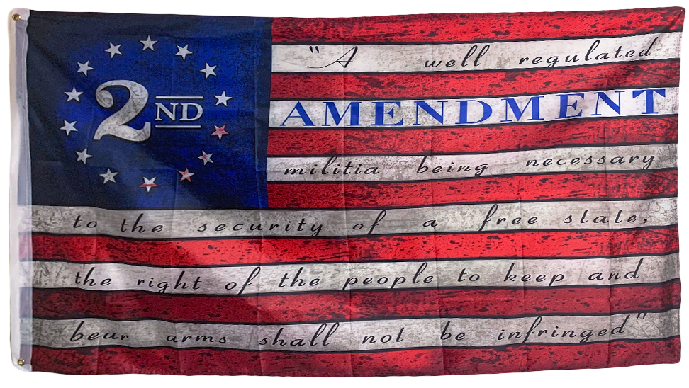 2nd Amendment A Well Regulated