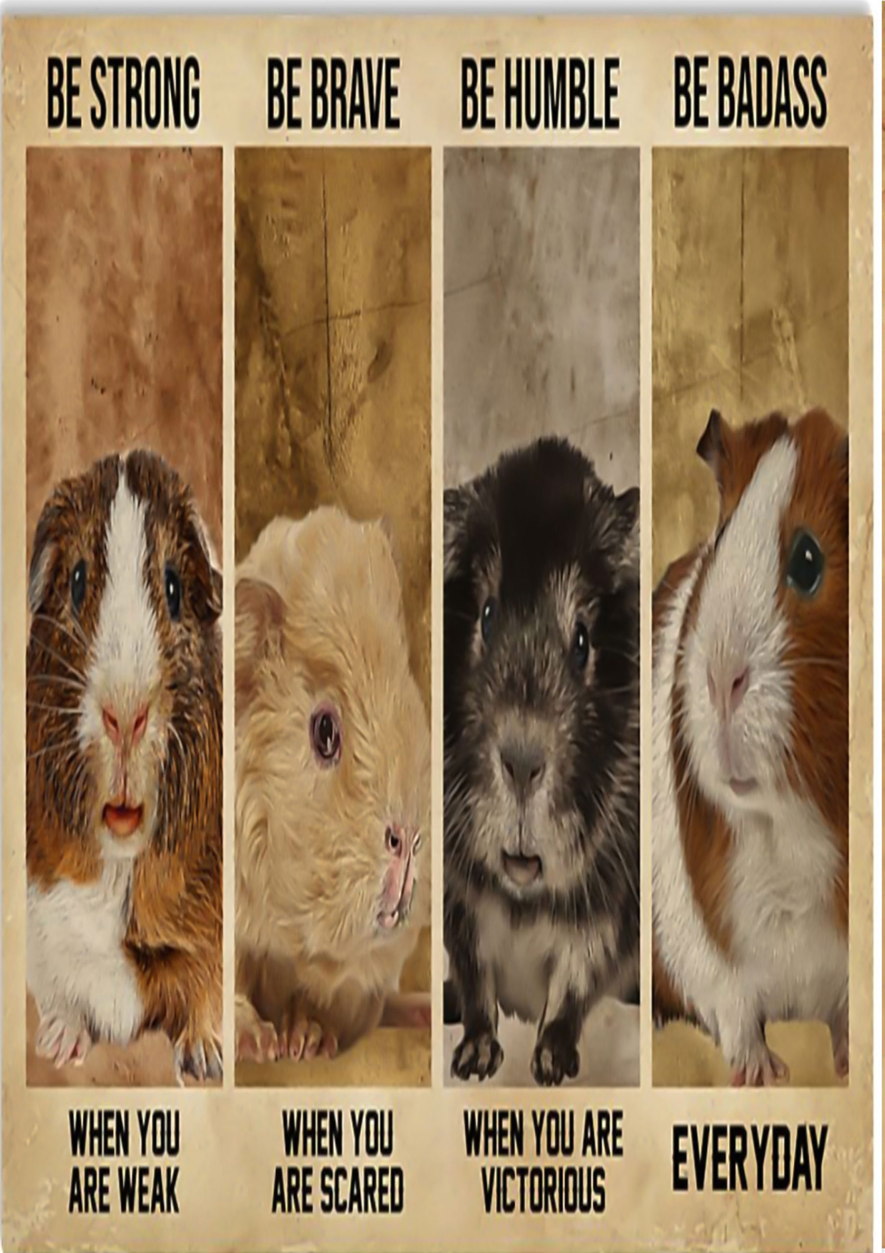 Guinea Pig Be strong When You Are Weak poster 1 Guinea Pig Be strong When You Are Weak poster