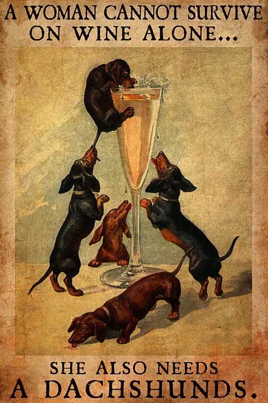 A woman cannot survive on wine alone she also needs a Dachshunds poster 10 A woman cannot survive on wine alone she also needs a Dachshunds poster