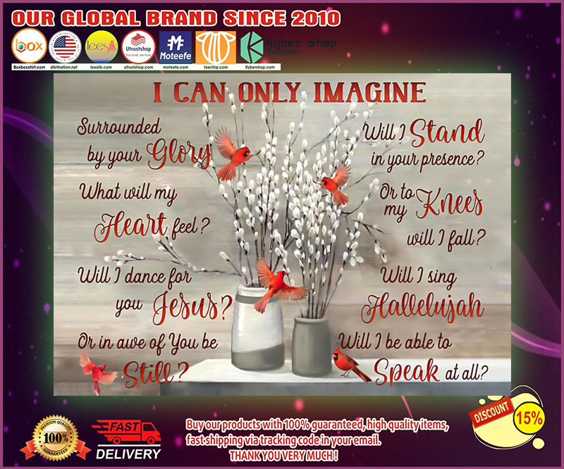 Cardinal I can only imagine poster