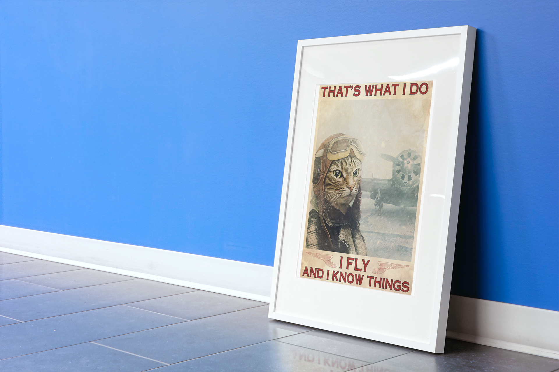 CatThat'swhatIdoIflyandIknowthingsposter