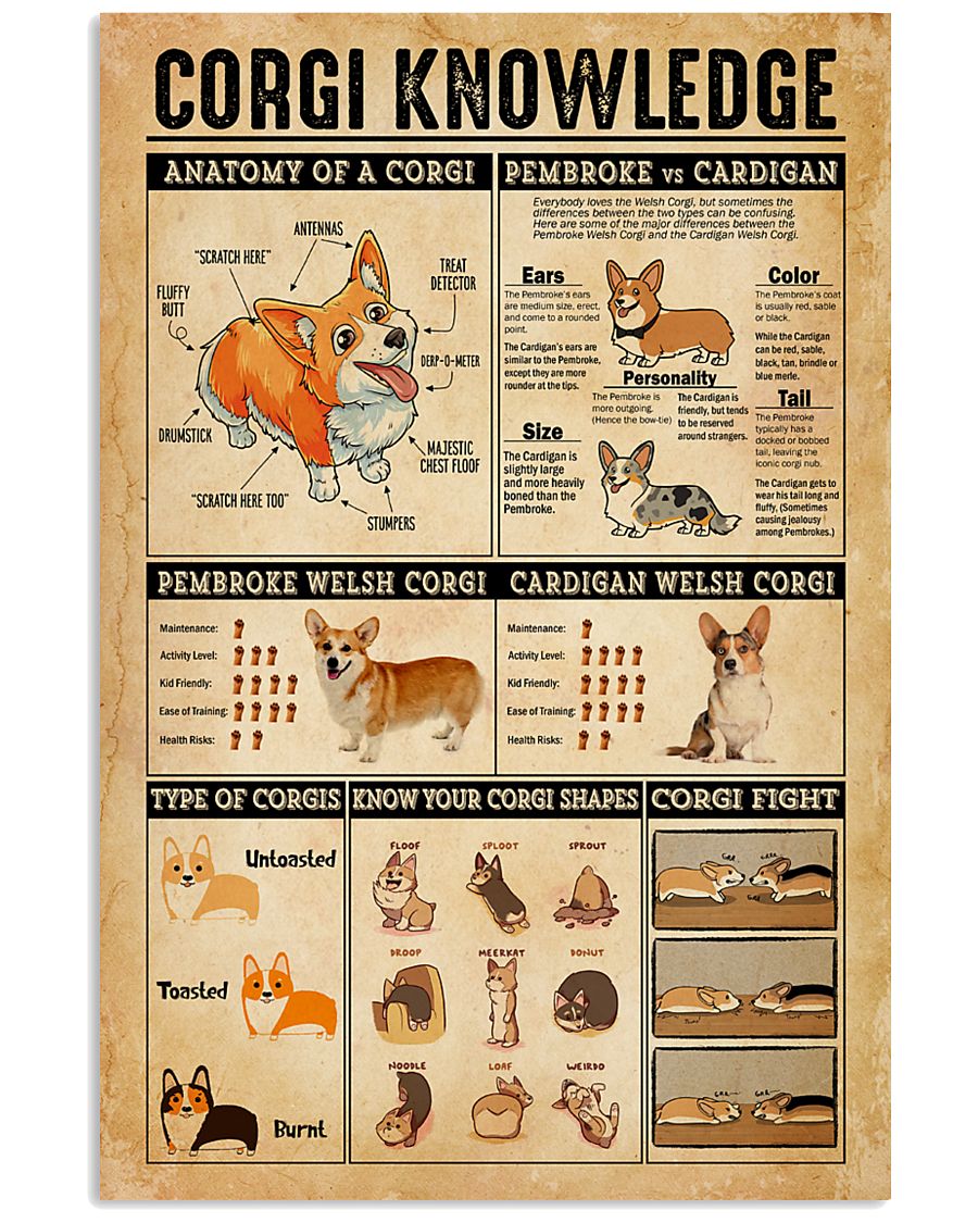 Corgi Knowledge poster