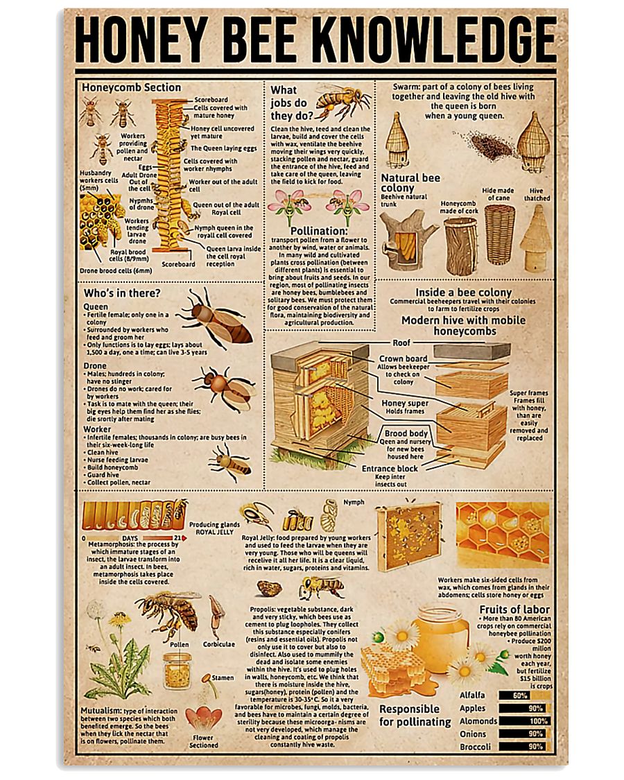 Honey bee knowledge poster 1 Honey bee knowledge poster