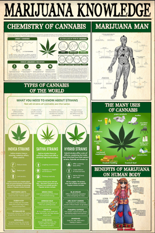 Marijuana knowledge poster