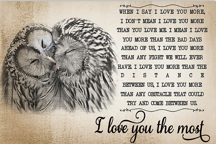 Owls I love you the most poster