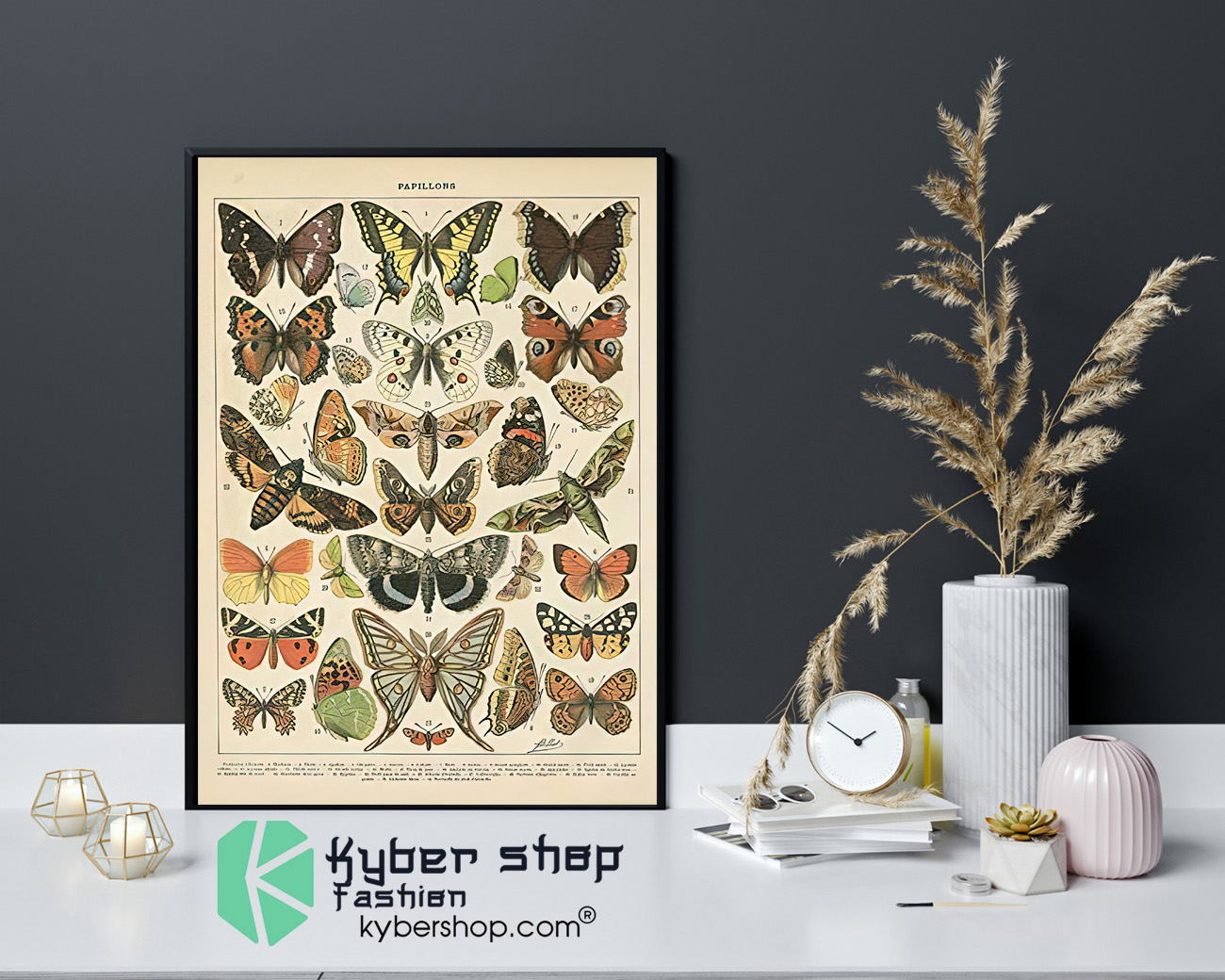 Popular vintage french types of papillons butterflies poster 4