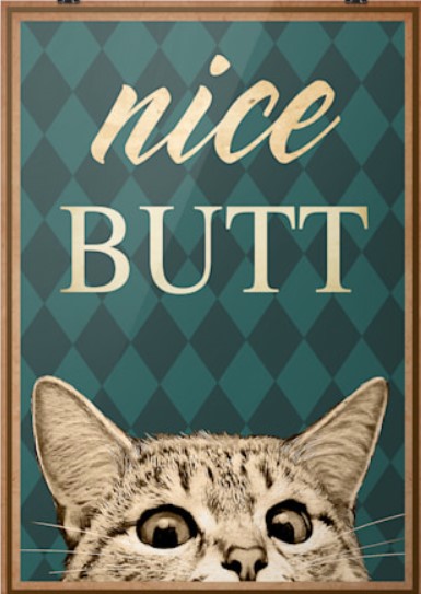 Poster Cat nice butt