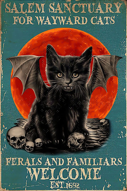Salem sanctuary for wayward cats ferals and familiars welcome EST