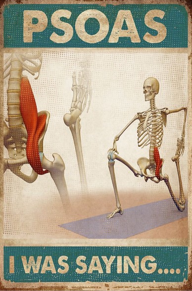 Skeletion Psoas I was saying poster 1 Skeletion Psoas I was saying poster