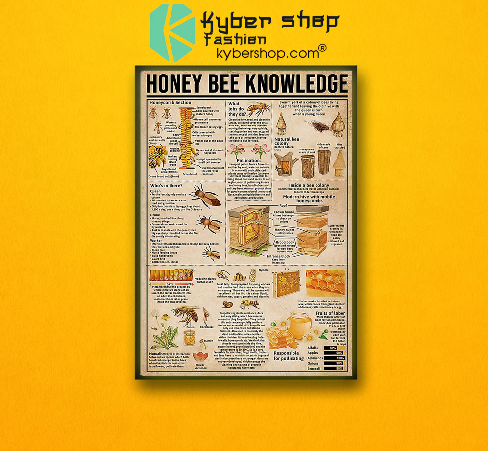 Surfing knowledge poster 1 Surfingknowledgeposter