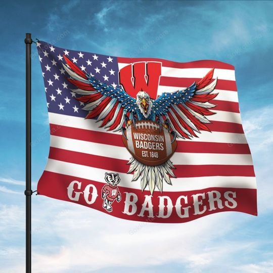 Wisconsin badgers go badgers flag