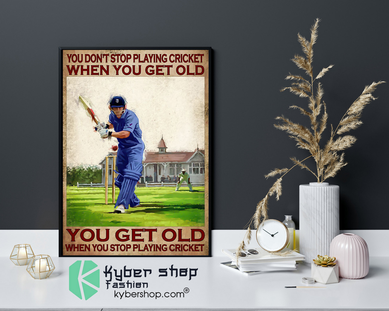 You dont stop playing cricket when you get old poster 4