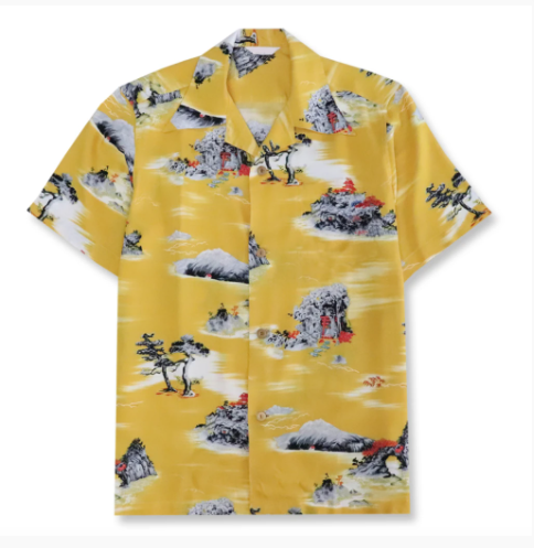 28 Brad PittCliff Booth In Once Up on a Time in Hollywood hawaiian shirt and short 2