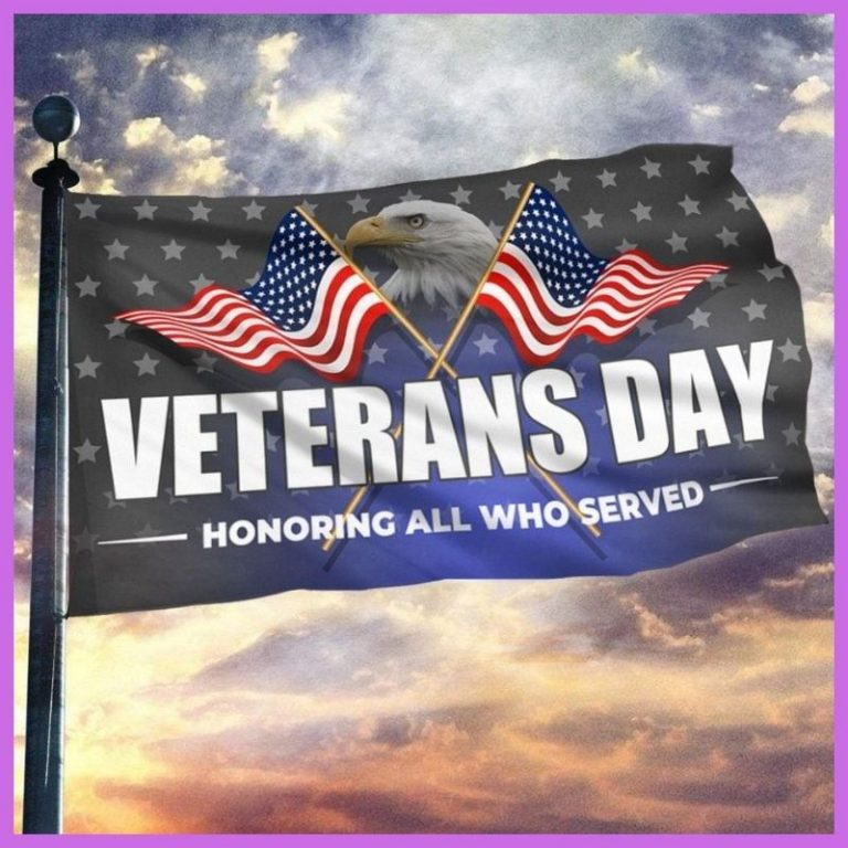 American flag eagle veterans day honoring all who served flag 3