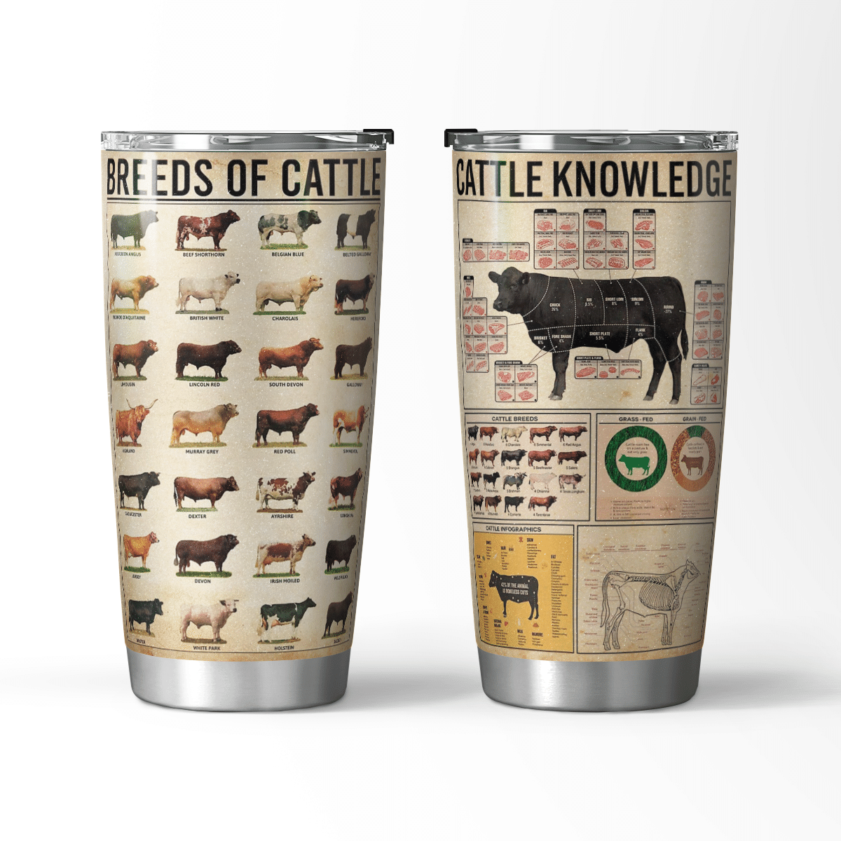 Breeds of cattle cattle knowledge tumbler 6