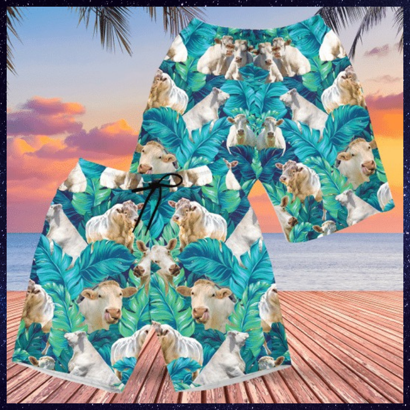 Charolais cattle tropical plant hawaiian short 2 Charolais cattle tropical plant hawaiian short 1