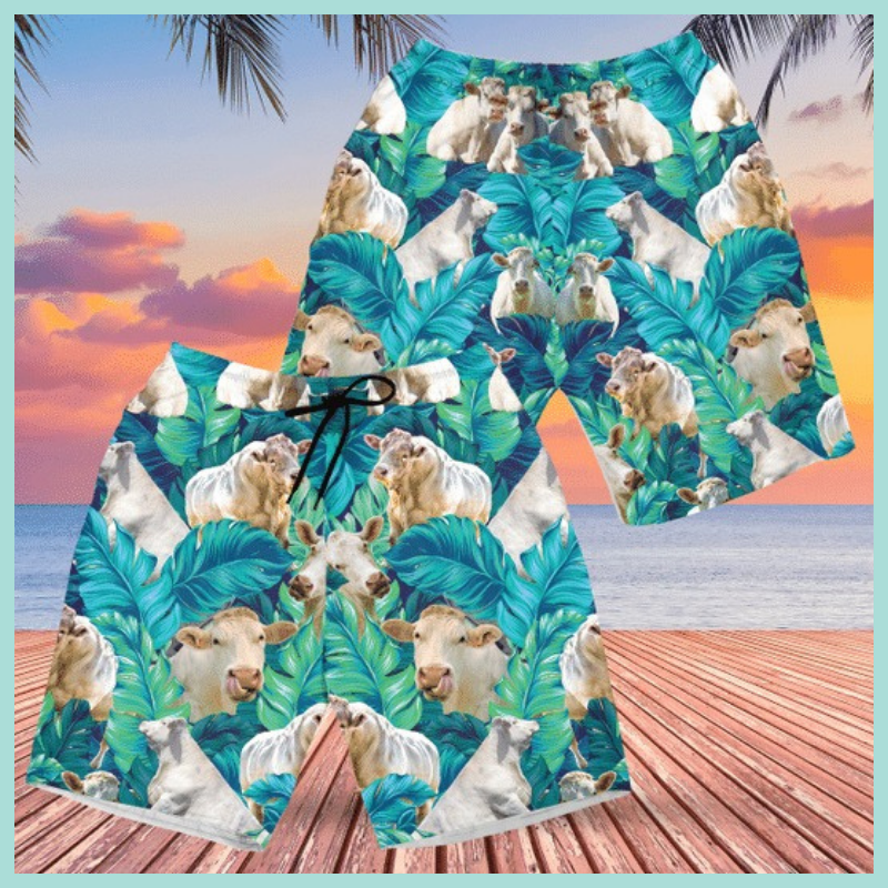Charolais cattle tropical plant hawaiian short 4 Charolais cattle tropical plant hawaiian short 3