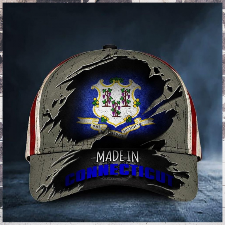 Made In Connecticut SustiNet cap hat 1