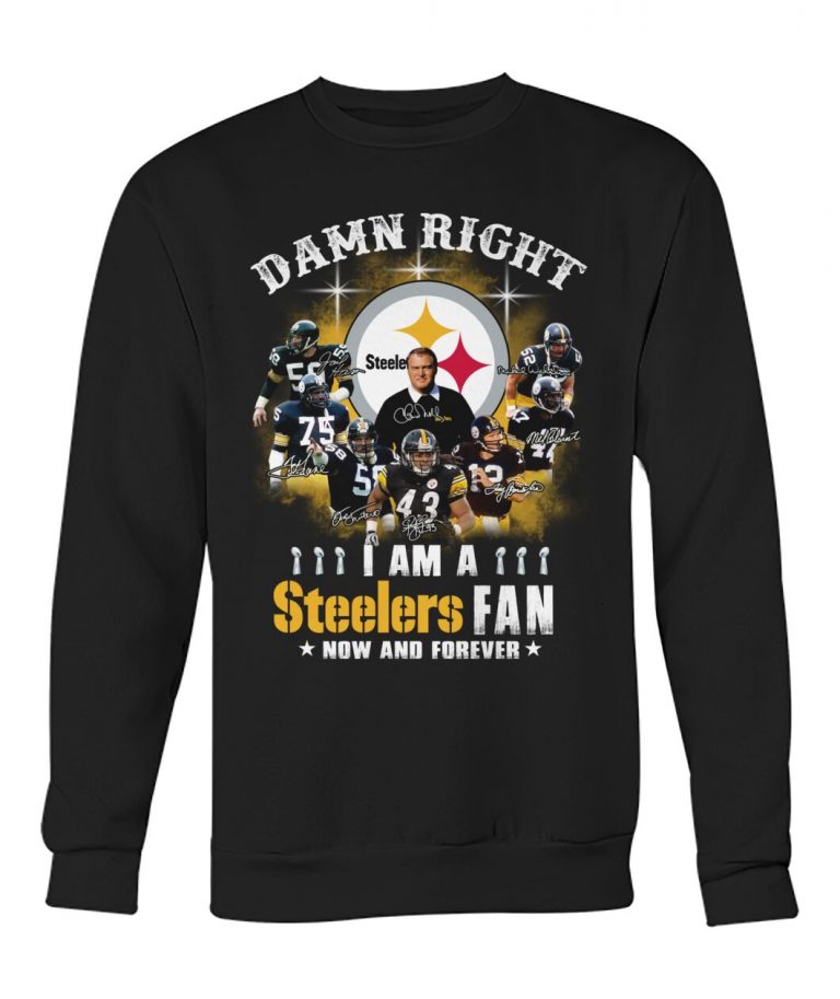 Pittsburgh Steelers damn right i am a Steelers fan 3d shirt hoodie (1) Pittsburgh Steelers damn right i am a Steelers fan 3d shirt hoodie 1