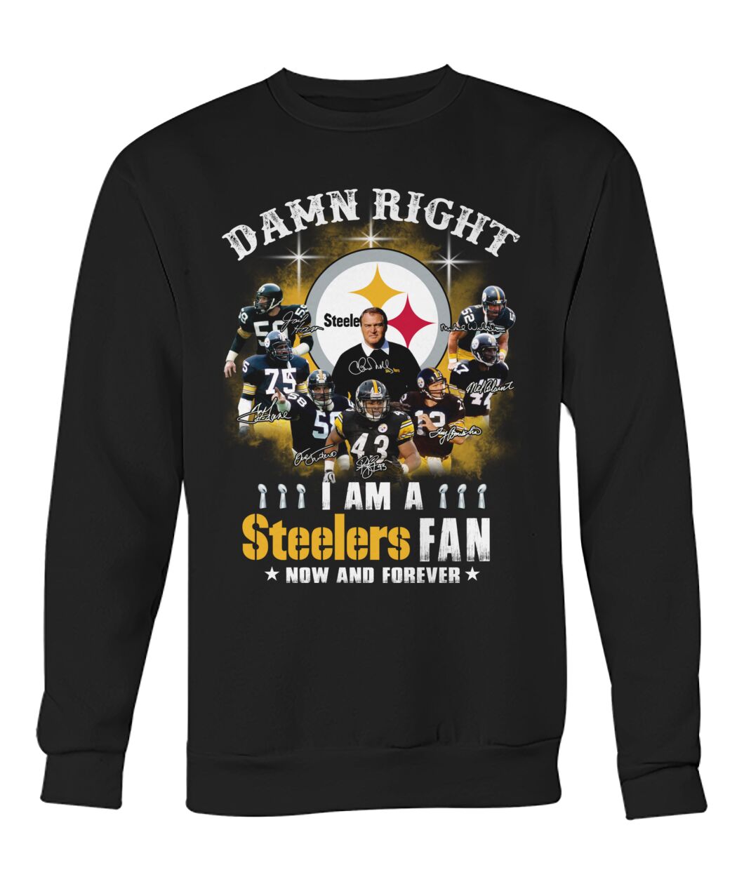 Pittsburgh Steelers damn right i am a Steelers fan 3d shirt hoodie 2 Pittsburgh Steelers damn right i am a Steelers fan 3d shirt hoodie 1